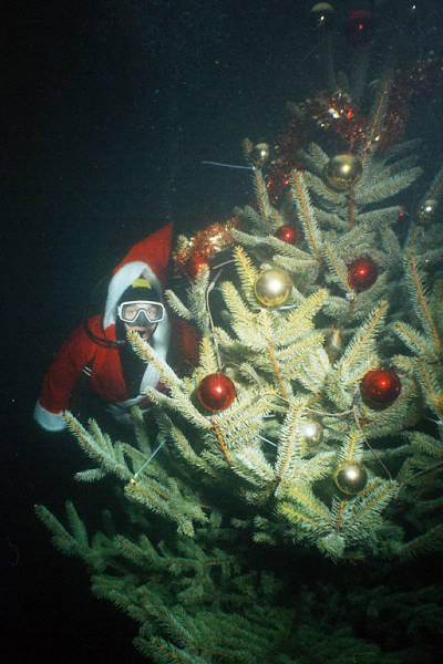 Weihnachtsbaum mit Weihnachtsmann